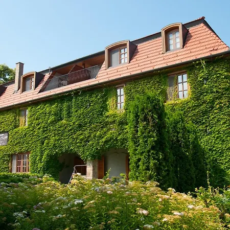 ホテル Kis Helikon ヘーヴィーズ